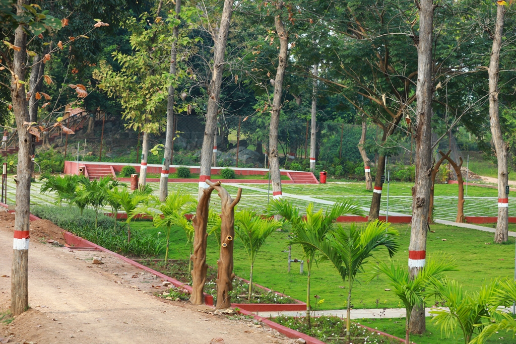 Lawn in Adilabad Haritha Vanam